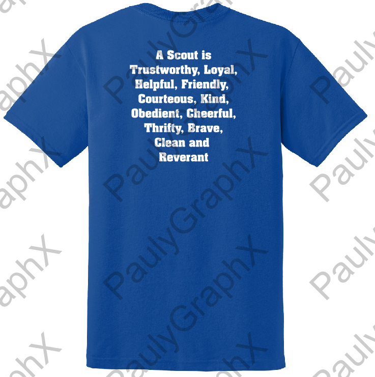 PACK 15 - T-SHIRT