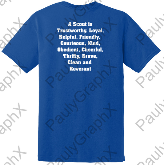 PACK 15 - T-SHIRT